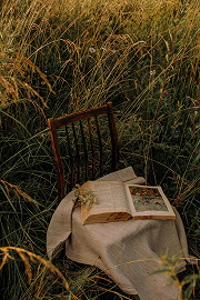 Фото: Всемирный день чтения вслух